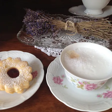 Levendula Porta Es Pajtaszinhaz