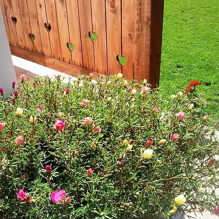 Guest house Levendula Porta Es Pajtaszinhaz