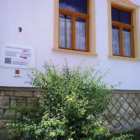 Levendula Porta Es Pajtaszinhaz * Orfu