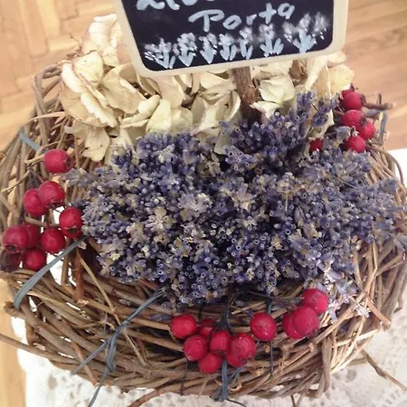 Levendula Porta Es Pajtaszinhaz Orfű