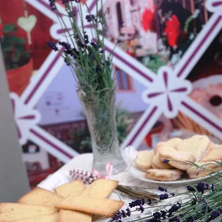 Levendula Porta Es Pajtaszinhaz Gasthof 3*